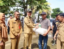 Walikota Pariaman Serahkan Bantuan Bibit Cabe dan Jahe Kepada Keltan