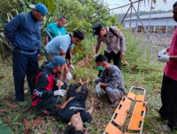 Diduga Korban Amuk Massa, Mister X Ditemukan Jadi Mayat