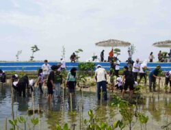 Program Internasionalisasi, Bikin Lulusan Makin Diminati Korporasi