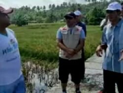 Banjir Rob Luluhlantakkan 40 Hektare Sawah Warga, Bupati BS Perintahkan TRC Bergerak Cepat
