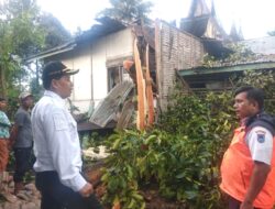 Pohon Tumbang Timpa Rumah Warga Koto Baru Payobasuang, TRC Bergerak Cepat