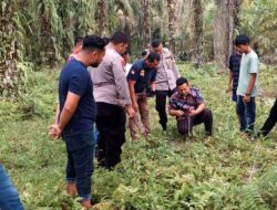 Pria Paruh Baya Ditemukan Tewas di Kebun Sawit