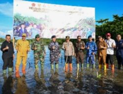 Tanam Mangrove Serentak Seluruh Indonesia, Untuk Lingkungan yang Lebih Baik Gubernur Sumbar Minta Semua Pihak Ikut Jaga Dan Rawat