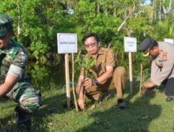 Pantai di Ujung Labuang Ditanami 1.000 Bibit Mangrove