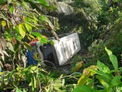 Satu Balita Tewas Enam Lainnya Luka-luka, Bus Alami Kecelakaan Tunggal