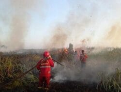 Karhutla Hanguskan 120 Hektare Lahan di Pesisir Selatan Sumbar, 2 Titik Asap Masih Mengepul