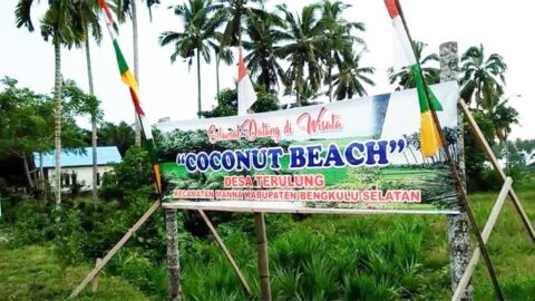 Pantai Coconut Beach