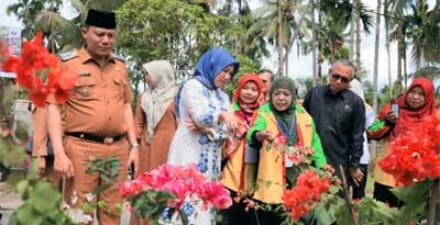 Keindahan bunga hias di Bonjol