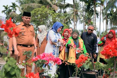 Keindahan bunga hias di Bonjol