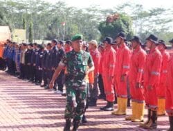 Wilayah Pulang Pisau Miliki Potensi Tinggi Terjadinya Kebakaran Hutan dan Lahan