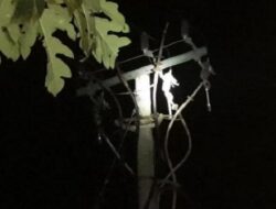 Suara Ledakan di Kantor Bupati Lombok Timur Gemparkan Warga, Getaran Terasa hingga 3 Km