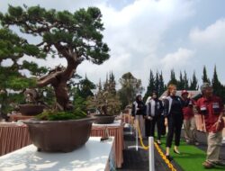 HUT ke-77 Bhayangkara, Puluhan Bonsai Dipamerkan di Sespim Polri Lembang KBB