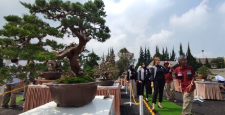 HUT ke-77 Bhayangkara, Puluhan Bonsai Dipamerkan di Sespim Polri Lembang KBB
