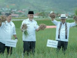 Menteri Pertanian Puji Produksi Holtikultura Sumbar, Dalam 2 Tahun Berhasil Saingi Jawa
