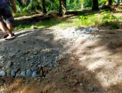 Penyaluran Dana Desa di Desa Napal Melintang Diduga Melanggar Regulasi, Potensi Kerugian Keuangan Desa Mulai Terkuak