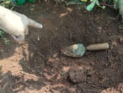 Lempar Bulatan Tanah ke Jalan Tol Krukut Depok, 5 Orang Ditangkap Polisi