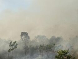 Karhutla di Banjarbaru Sebabkan Kabut Asap, Warga Diimbau Pakai Masker