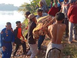 Tragedi Bocah Tenggelam di Sungai Rantau Panjang, Ditemukan Tewas Setelah Pencarian Dramatis