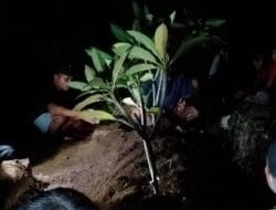 Terduga Pencabulan Anak di Bawah Umur di Bantul Akhirnya Meninggal di RS Usai Diamuk Massa