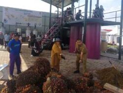 Petani Dapatkan Berkah Penas KTNA XVI Sumbar