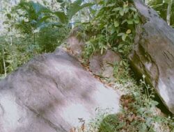 Batu Sitenah ‘Menelan Anak Kecil’ Sebuah Legenda Tersembunyi di Padang Lariang, Kabupaten Padang Pariaman