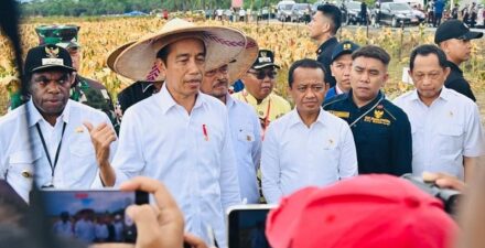 Presiden Jokowi