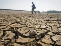 Kekeringan Mulai Terjadi di Tangerang Akibat El Nino