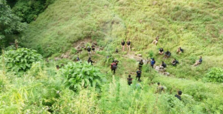 Penemuan Ladang Ganja di Perbatasan Kabupaten Karo dan Kabupaten Langkat, Sumatera Utara