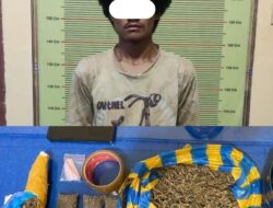 Seorang Pengedar Narkotika Jenis Ganja Kering di Padang Panjang Diringkus Tim karanggo Polres