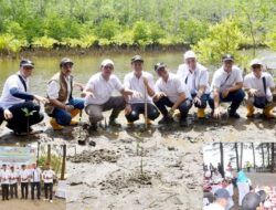 Desa Wisata Apar Pariaman Ditunjuk Penanam Mangrove Lintas Akademisi dan Kementerian