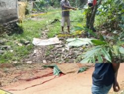 Dua Kasus Kriminal Hebohkan Solok Selatan, Ditemukan Jasad Bayi Baru Lahir Dimakan Anjing