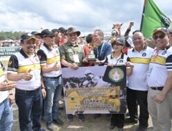 Lomba Pacuan Kuda Memperebutkan Piala Gubernur Sumbar, Akan Diselenggarakan Oktober Mendatang