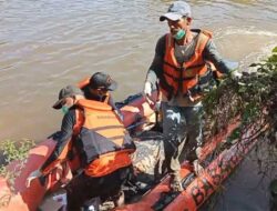 Redi Kardinata Korban Diterkam Buaya Akhirnya Ditemukan Tewas Mengapung