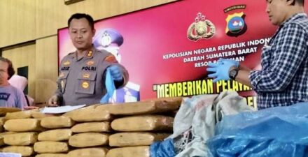 77 barang bukti ganja diamankan Polres Pariaman