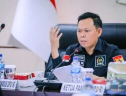 3,3 Juta Ha Lahan Sawit Diputihkan, Sultan; Perburuk Citra Komoditas Sawit Indonesia
