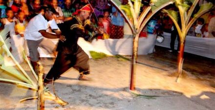 Prosesi tabuik Kota Pariaman menebang batang pisang