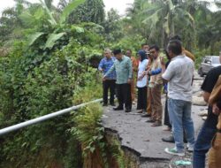 Bupati Agam Tinjau Tanah Terban di Bawan