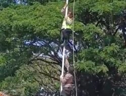 Bendera Berkibar di Atas Ketinggian, Aksi Heroik Polisi Selamatkan Upacara HUT Kemerdekaan RI