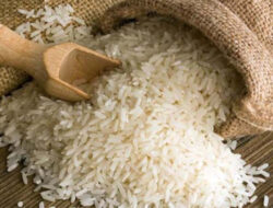 FAO PBB Khawatir Lonjakan Harga Beras Picu Inflasi Pangan di Asia