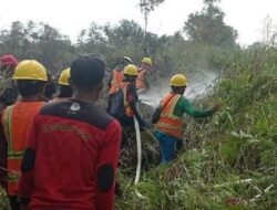 Tragedi Karhutla di Kalimantan Barat Menelan Korban Jiwa Lagi