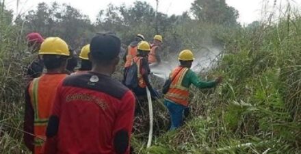 Tragedi Karhutla di Kalimantan Barat Menelan Korban Jiwa Lagi