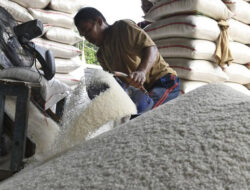 FAO Khawatir Kenaikan Harga Beras Picu Lonjakan Inflasi Pangan di Asia