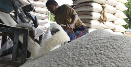 FAO Khawatir Kenaikan Harga Beras Picu Lonjakan Inflasi Pangan di Asia