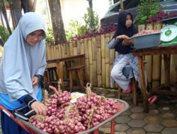 Petani Kreatif Alahan Panjang: Bawang Kepang, Oleh-oleh Khas yang Laris Diburu Wisatawan