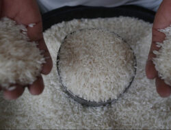 Impor Beras dari Kamboja Dibatalkan karena Harga Tinggi, Bulog Fokus Penuhi Kuota Impor