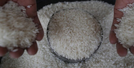 Impor Beras dari Kamboja Dibatalkan karena Harga Tinggi, Bulog Fokus Penuhi Kuota Impor