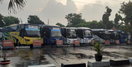 Raja Armada Bus di Indonesia: Merek-merek PO Bus dengan Aset Terbanyak