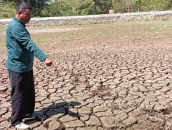 Kekeringan Ancam Ketersediaan Air Bersih di Gunungkidul