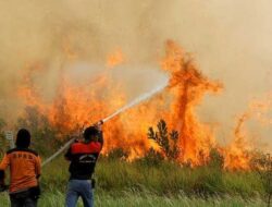Duka dan Harapan dalam Kebakaran Lahan di Sumsel; Api Mendekat ke Pemukiman Penduduk