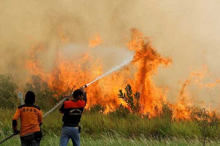 Petugas berjibaku memadamkan api yang membakar lahan gambut di daerah Sumatera Selatan (Sumsel)